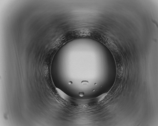 X0000097510704200802291619