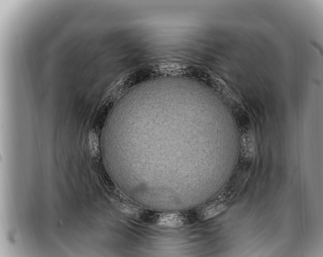 X0000097510705200802291619