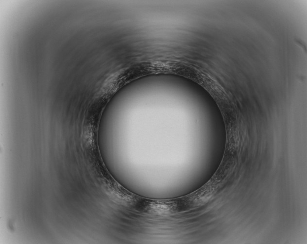 X0000097510706200802291619