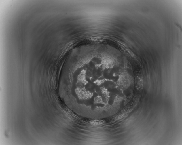 X0000097510707200802291619