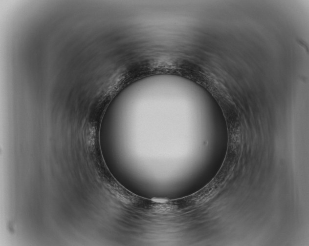 X0000097510708200802291619