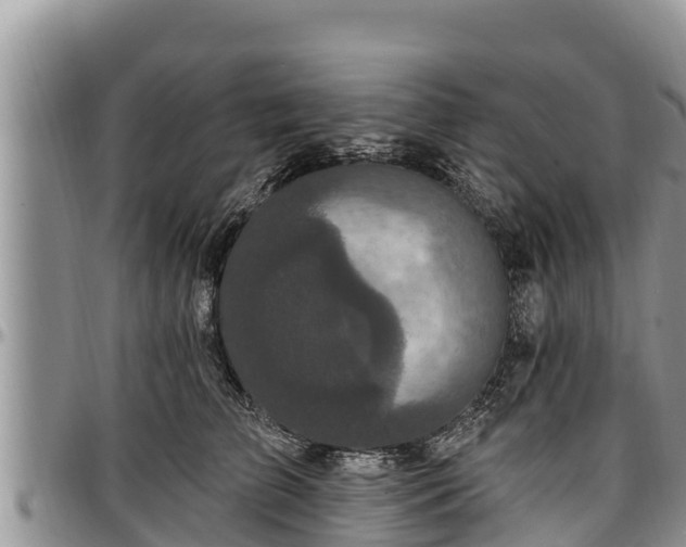 X0000097510709200802291619