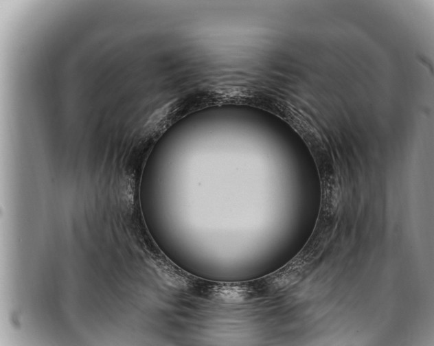 X0000097510710200802291619