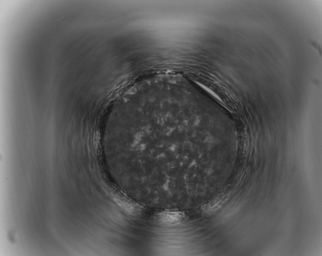 X0000097510711200802291619