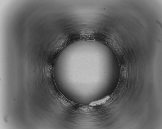 X0000097510712200802291619