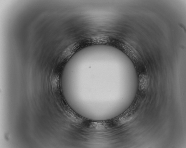 X0000097510713200802291619