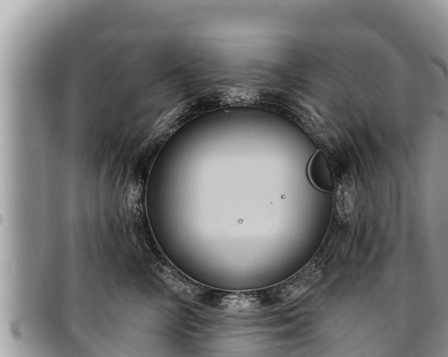 X0000097510714200802291619