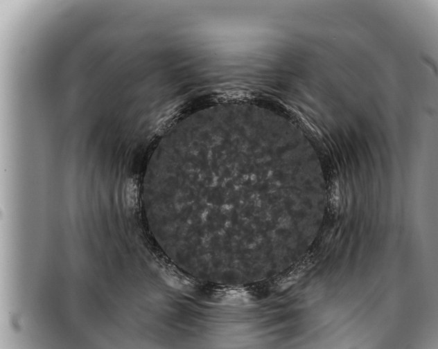 X0000097510715200802291619