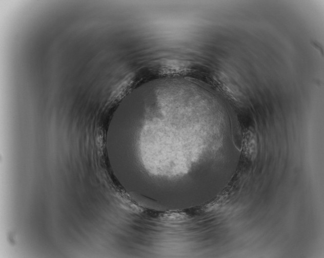 X0000097510716200802291619