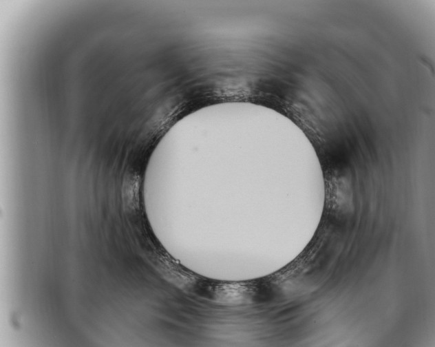 X0000097510717200802291619