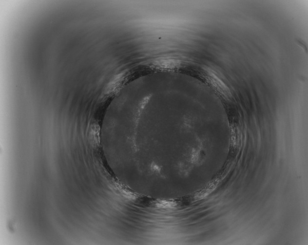 X0000097510718200802291619