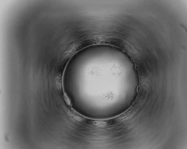 X0000097510719200802291619