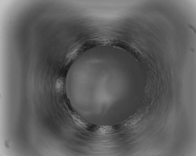 X0000097510720200802291619