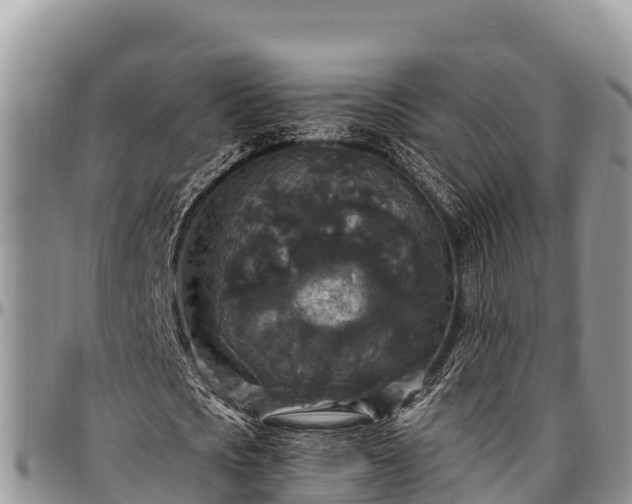 X0000097510721200802291618