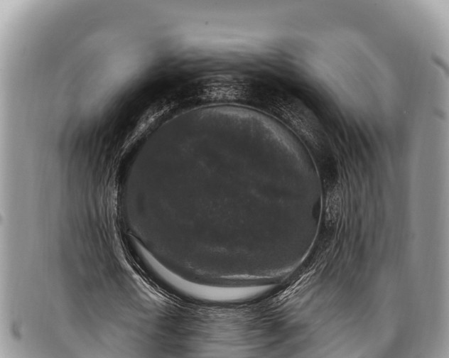 X0000097510722200802291618