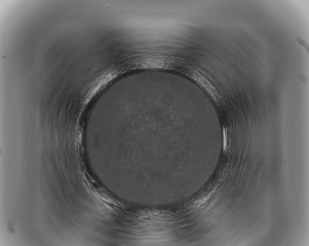 X0000097510723200802291618