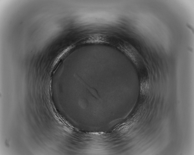 X0000097510724200802291618