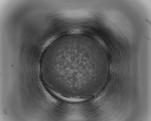 X0000097510725200802291618