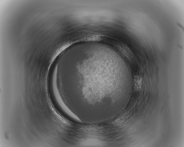 X0000097510726200802291618