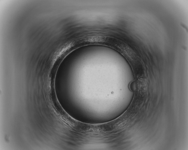 X0000097510727200802291618