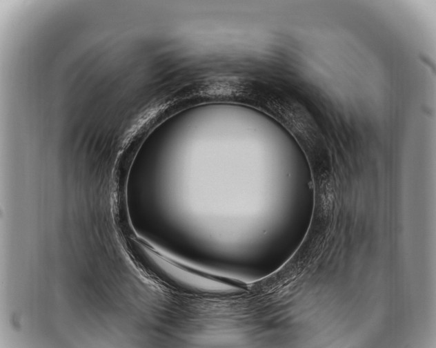 X0000097510728200802291618