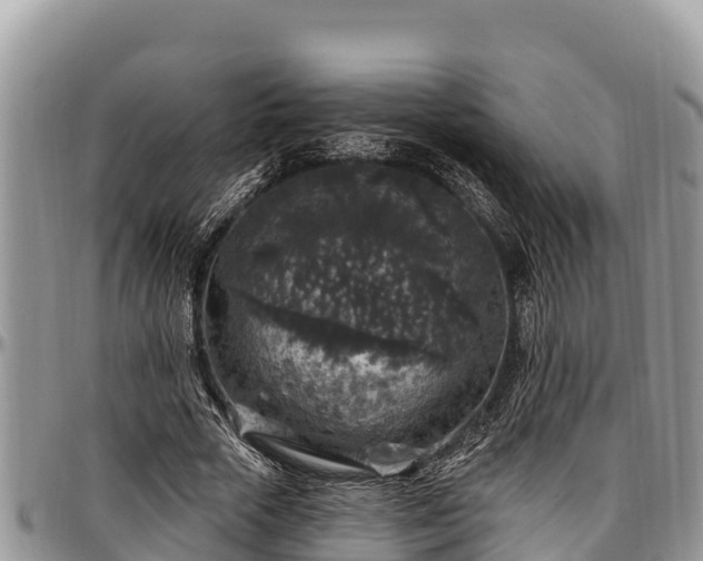 X0000097510729200802291618