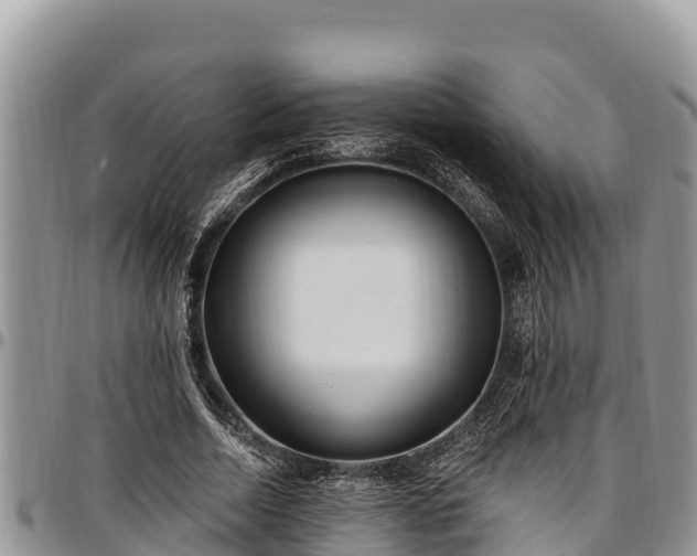 X0000097510730200802291618