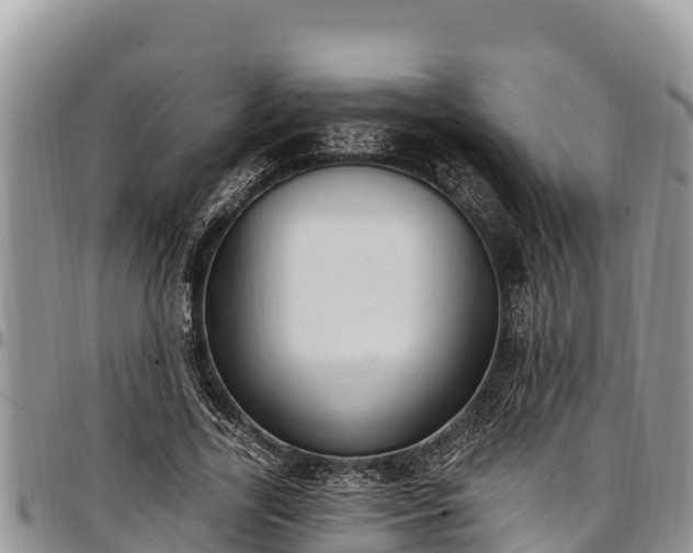 X0000097510731200802291618