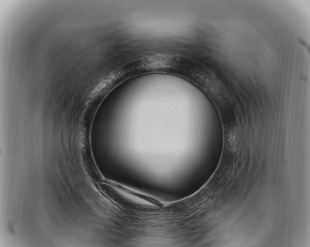 X0000097510732200802291618