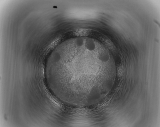 X0000097510733200802291618