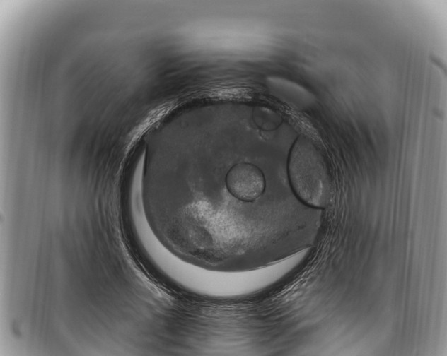 X0000097510734200802291618