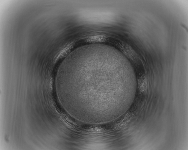 X0000097510735200802291618