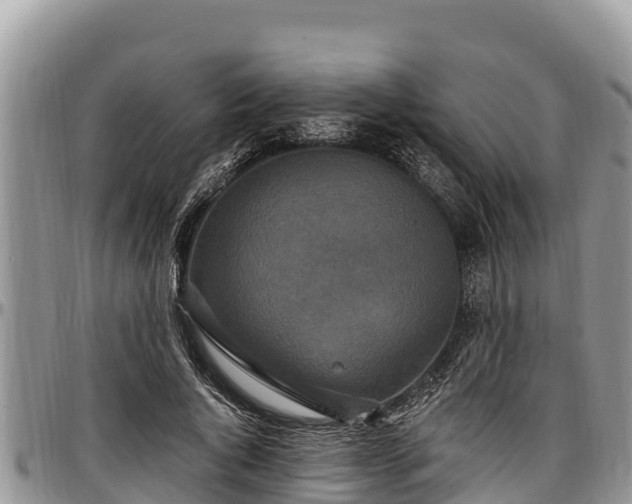 X0000097510736200802291618