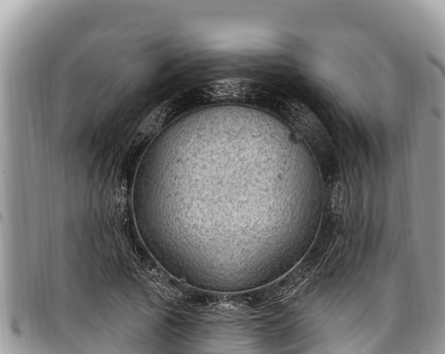 X0000097510737200802291618