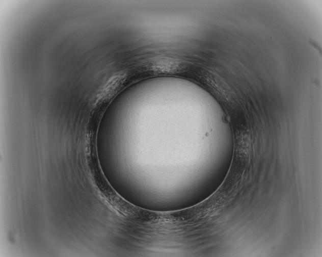 X0000097510738200802291618