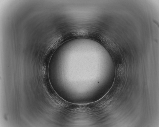 X0000097510739200802291618