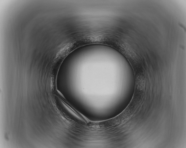 X0000097510740200802291618