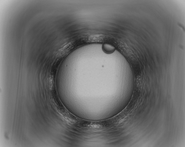 X0000097510741200802291618