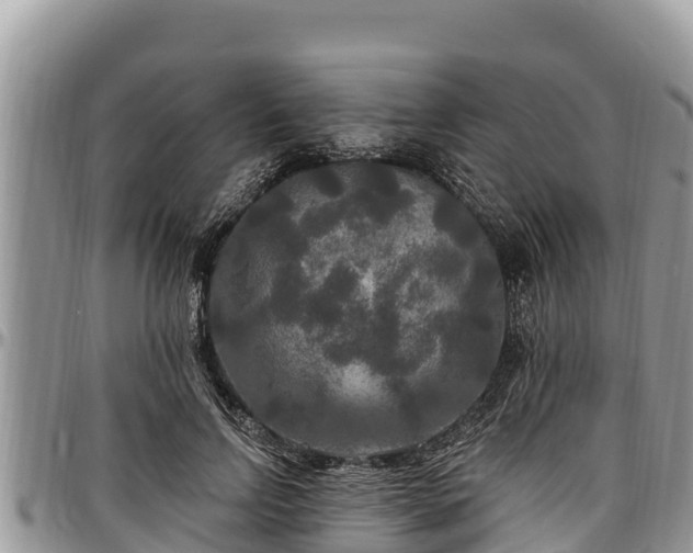 X0000097510742200802291618