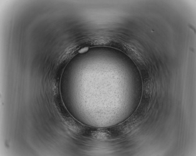 X0000097510743200802291618