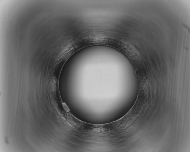 X0000097510744200802291618