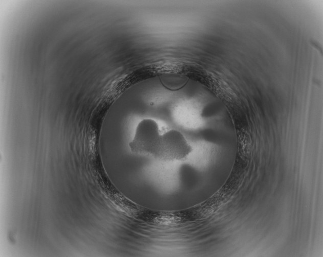 X0000097510745200802291618