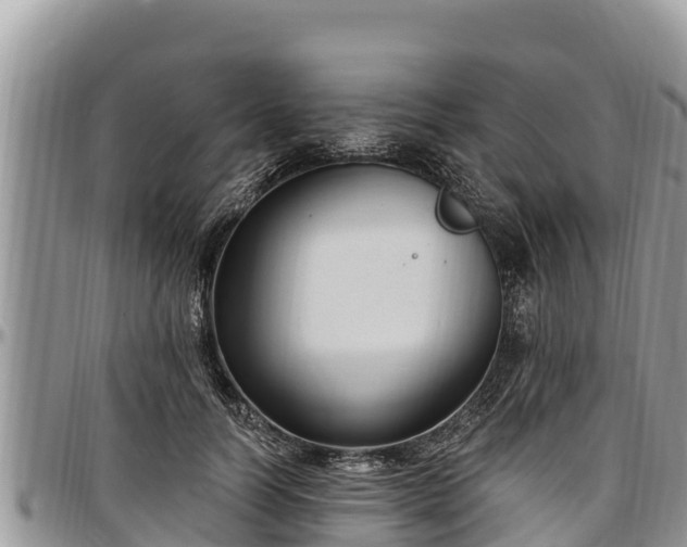 X0000097510746200802291618