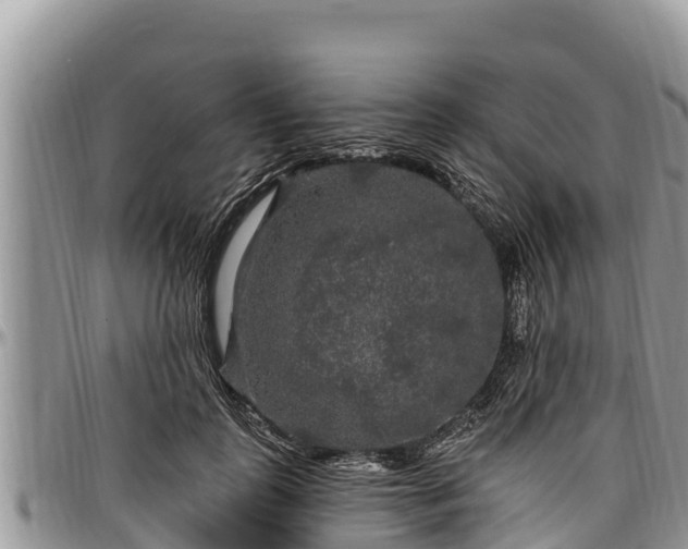 X0000097510747200802291618