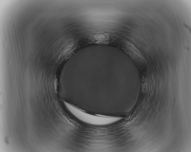 X0000097510748200802291618