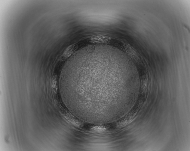 X0000097510749200802291618