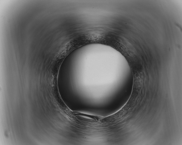 X0000097510750200802291618