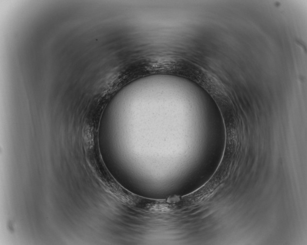 X0000097510751200802291618