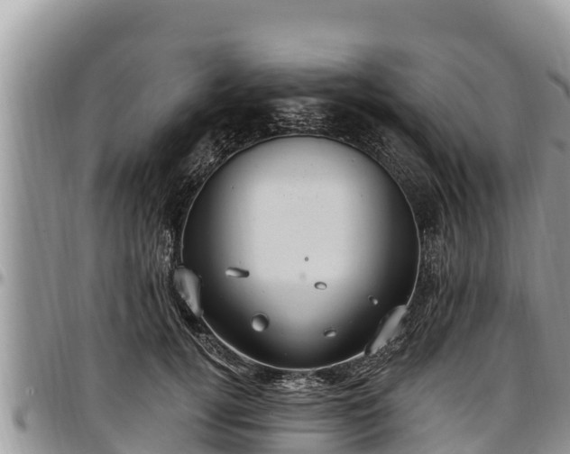 X0000097510752200802291618