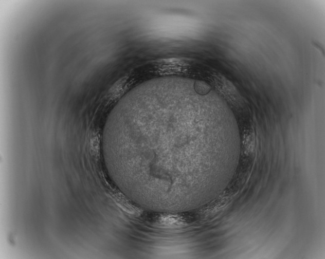 X0000097510753200802291618